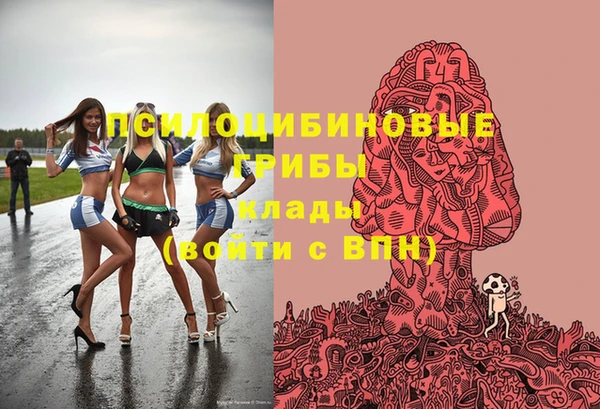 амфетамин Новодвинск