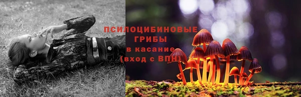 скорость mdpv Новозыбков